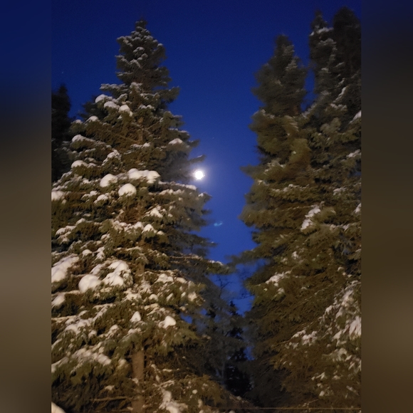 Meet your Posher, Terter - Picture 4 of 16